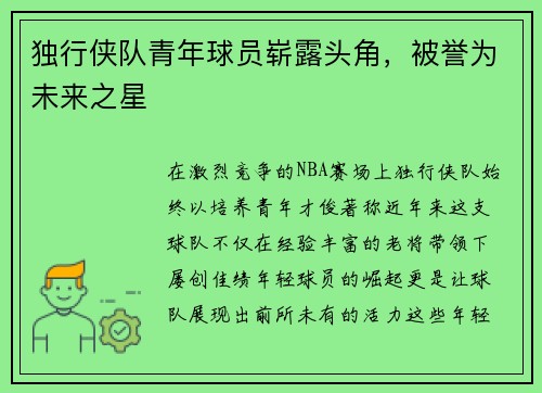 独行侠队青年球员崭露头角，被誉为未来之星